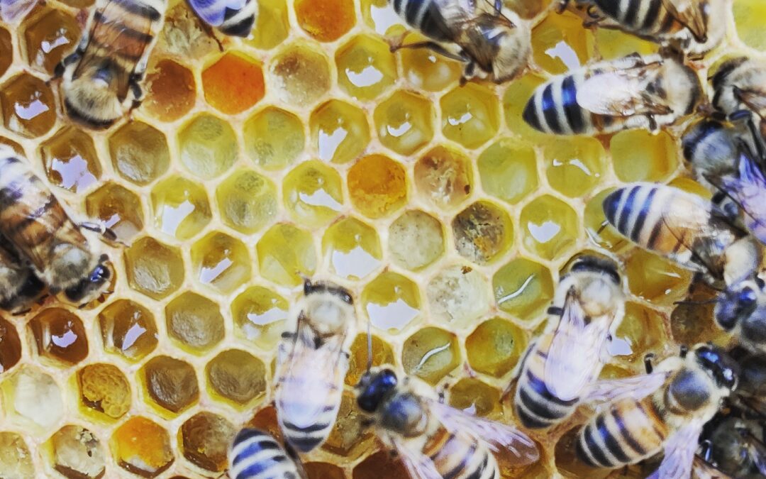 La cristallizzazione del miele!